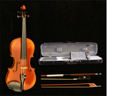 Violin Model: 605